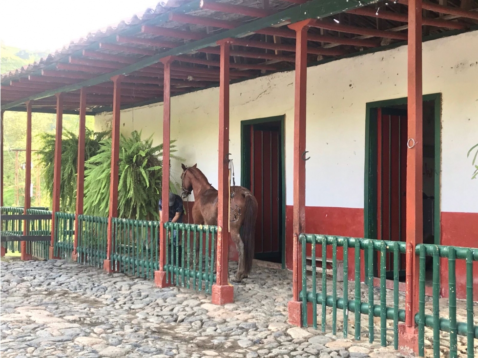 VENDO FINCA GANADERA 906 CUADRAS POR IRRA (QUINCHIA, RISARALDA) - 2
