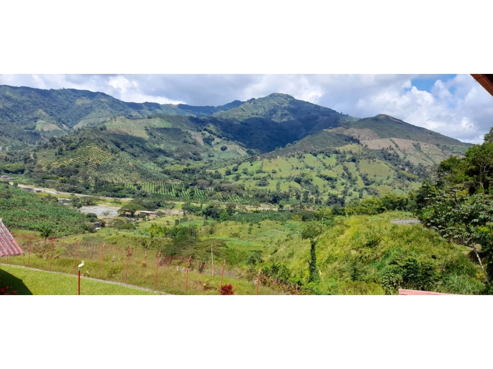VENDO FINCA GANADERA DE 135 Cdas POR LA TESALIA, MANIZALES — foto 3