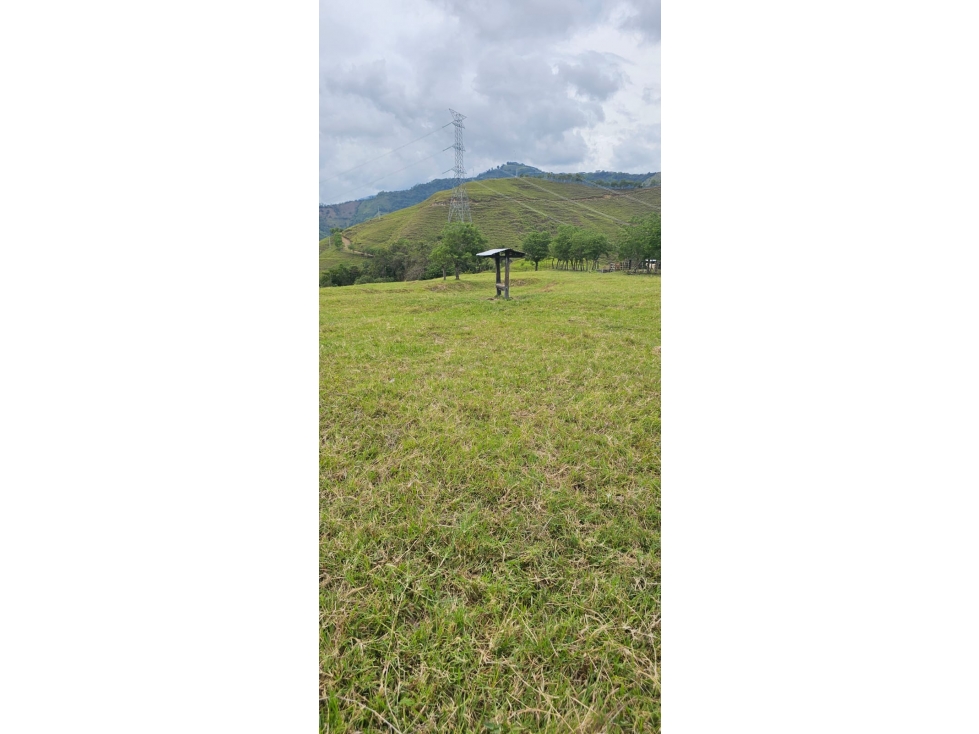 VENDO FINCA GANADERA 430 CUADRAS KM 41 VIA LA FELISA, MANIZALES — foto 3