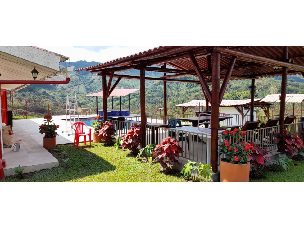 VENDO FINCA GANADERA DE 135 Cdas POR LA TESALIA, MANIZALES — foto 5
