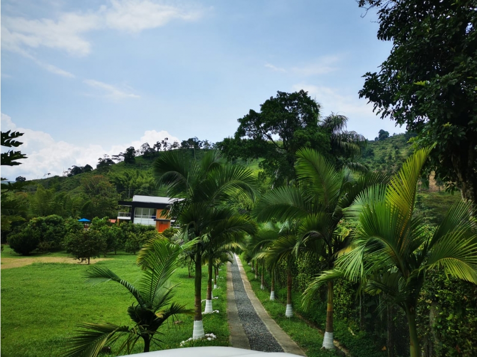 VENDO CASA CAMPESTRE 1 Ha ANTES DEL PEAJE LAS PAVAS MANIZALES — foto 6