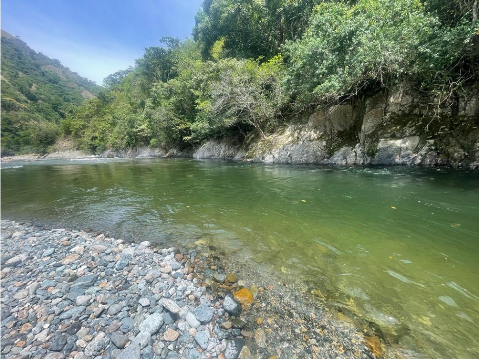 VENDO FINCA GANADERA 900 CUADRAS EN AGUADAS CALDAS - 4