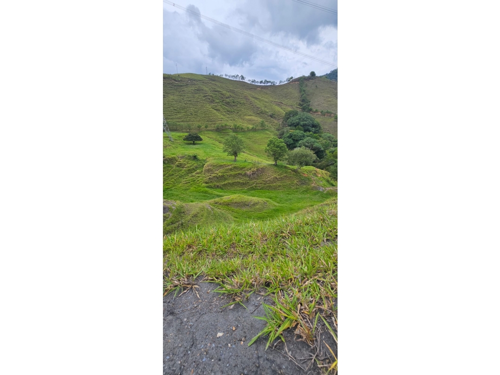 VENDO FINCA GANADERA 430 CUADRAS KM 41 VIA LA FELISA, MANIZALES — foto 5