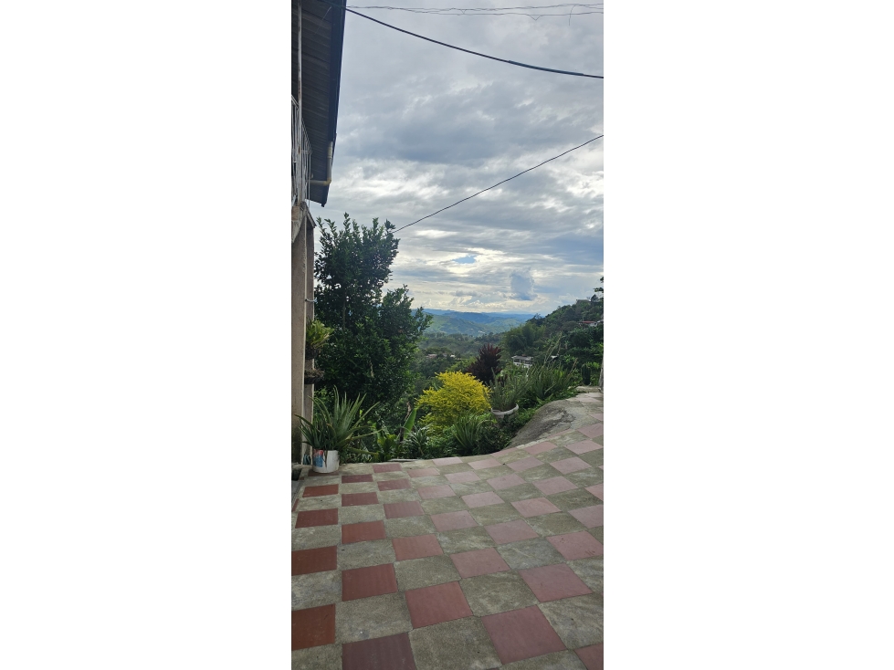 VENDO FINCA 11058 MTS CULTIVABLE EN LA QUIEBRA VELEZ CALDAS — foto 3