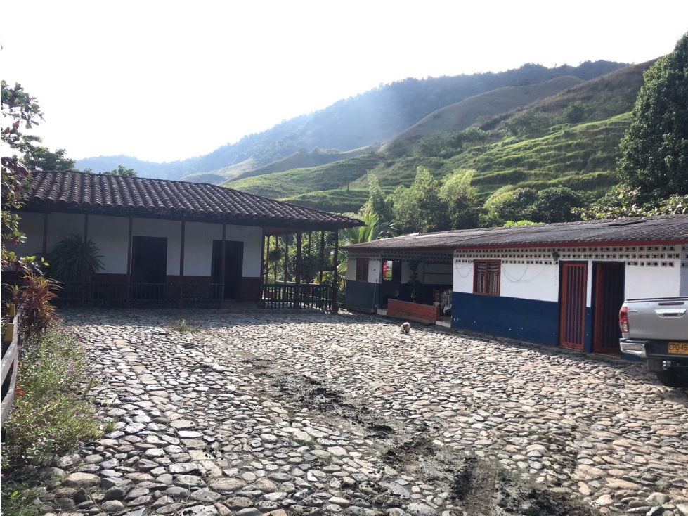 VENDO FINCA GANADERA 906 CUADRAS POR IRRA (QUINCHIA, RISARALDA) - 4