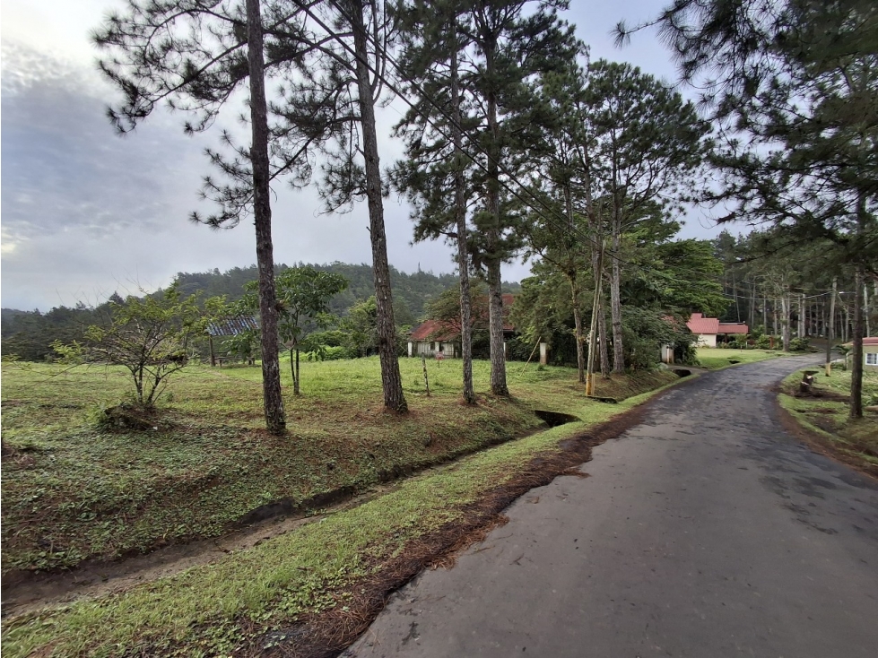 Venta de terreno en Altos de Cerro Azul