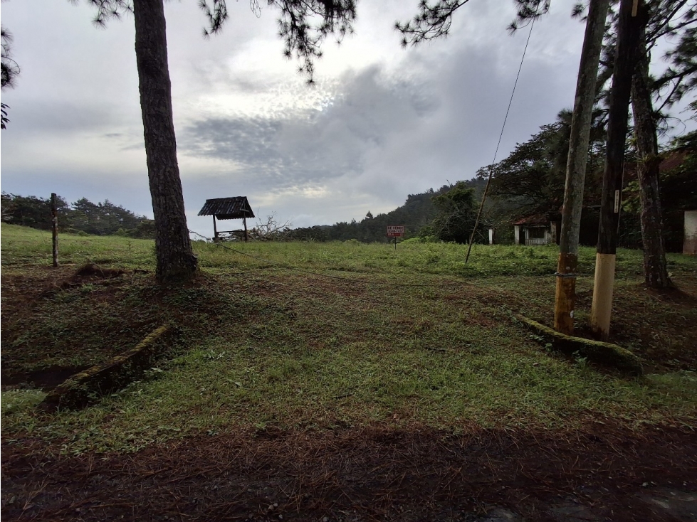 Venta de terreno en Altos de Cerro Azul — foto 4