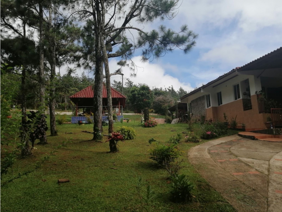 VENTA DE CASA EN ALTOS DE CERRO AZUL — foto 4