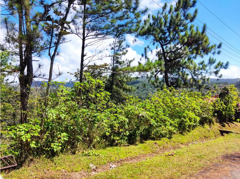 Venta de lote en Altos de Cerro Azul — foto 2