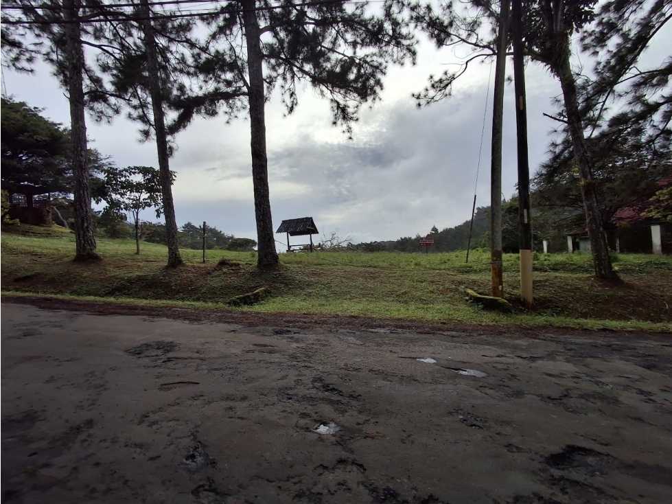 Venta de terreno en Altos de Cerro Azul — foto 2