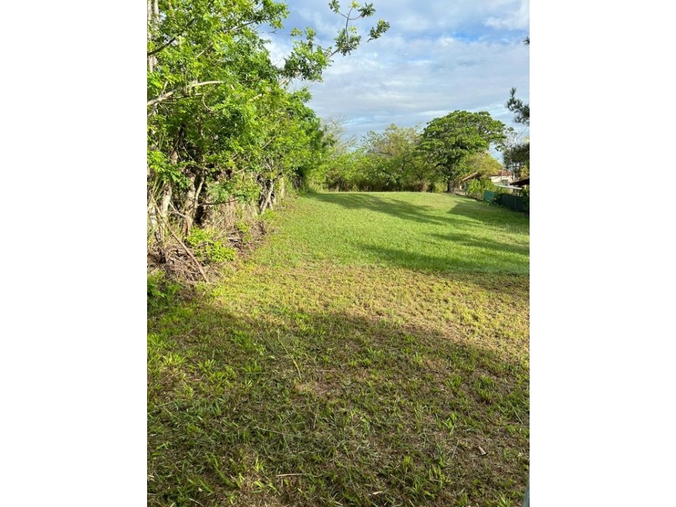 Venta de terreno Coronado — foto 2