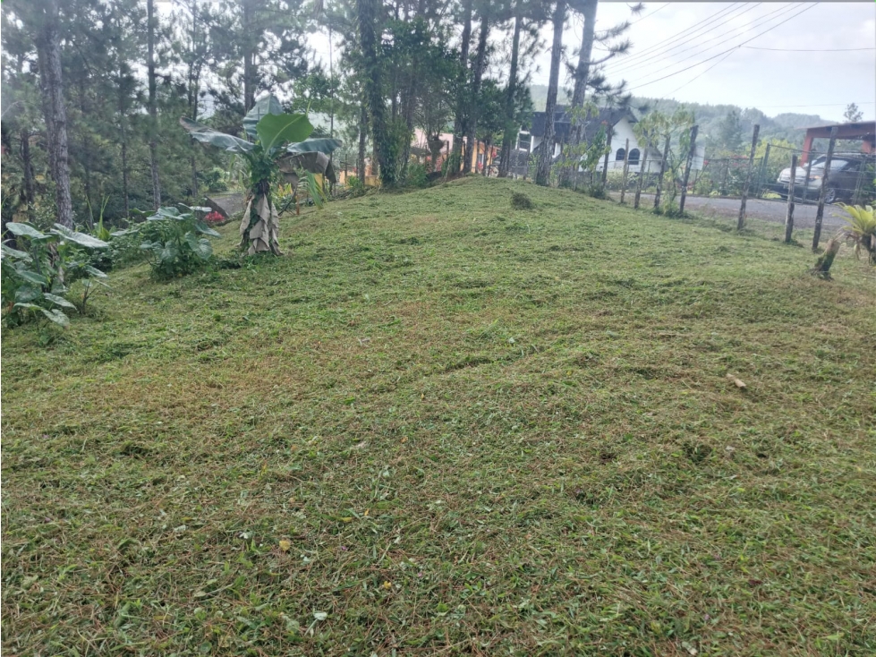 Venta de terreno en Altos de Cerro Azul