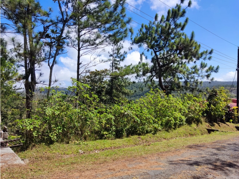 Venta de lote en Altos de Cerro Azul — foto 3