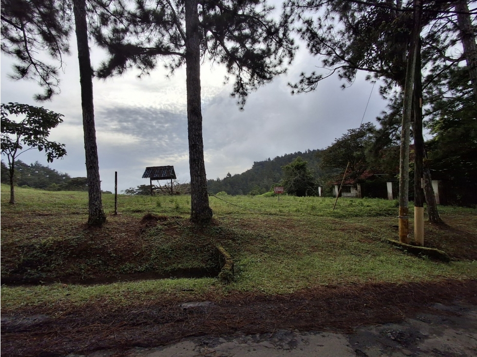 Venta de terreno en Altos de Cerro Azul — foto 5