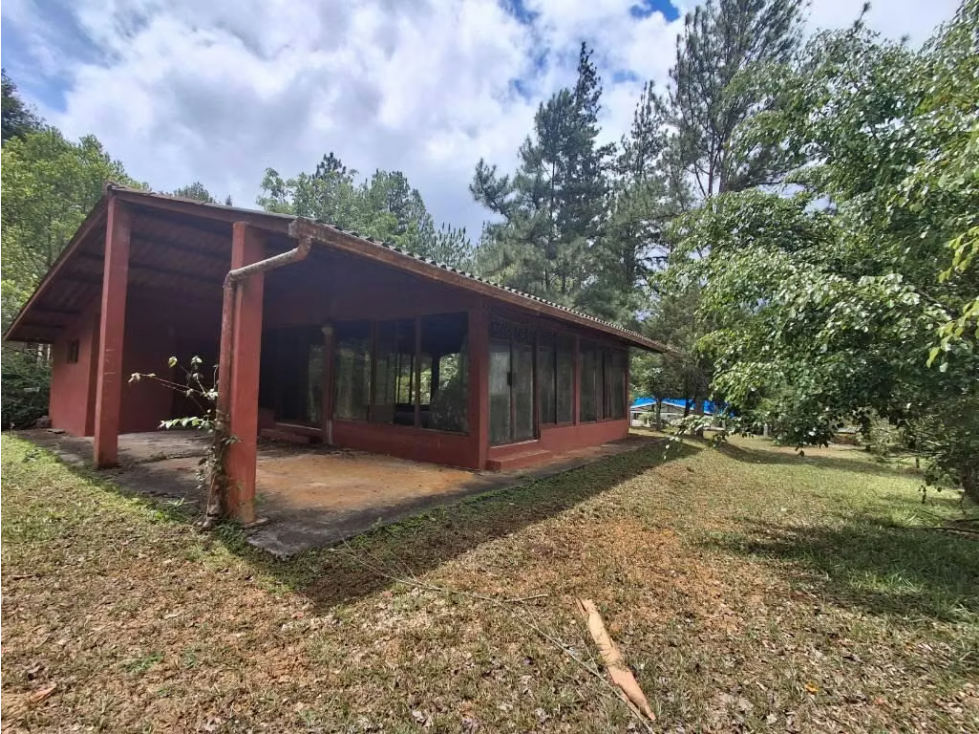 Se vende lote con casita en Altos de Cerro Azul — foto 6