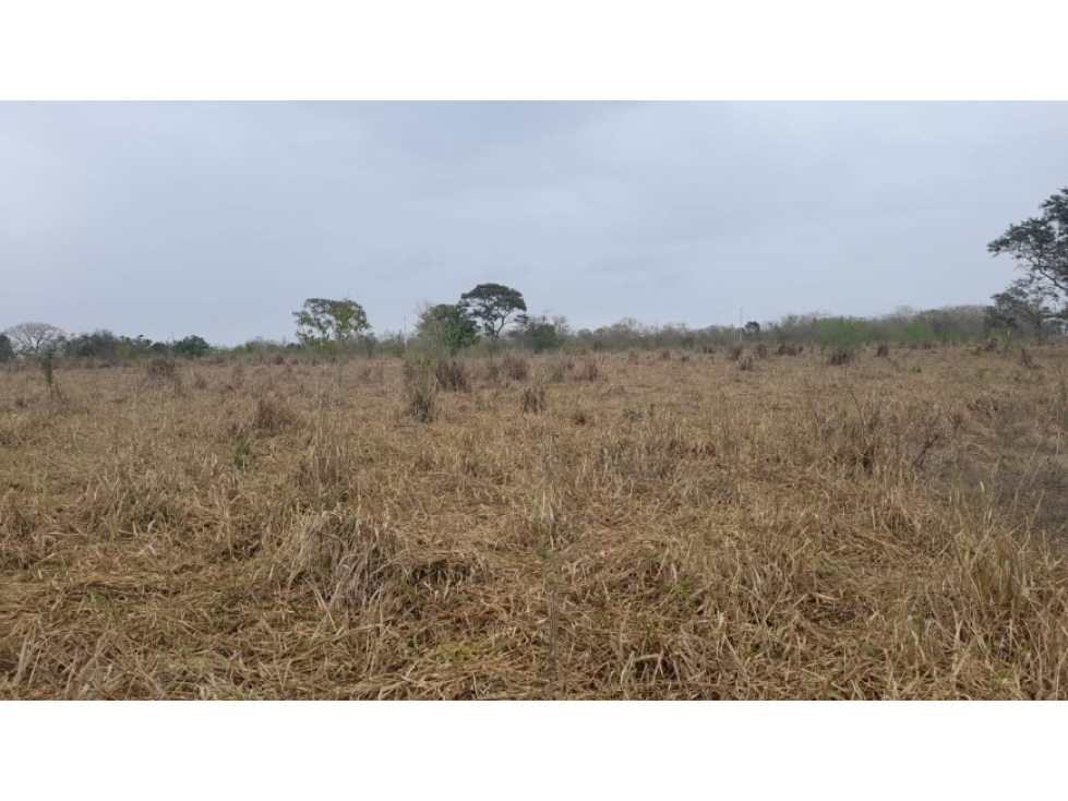Venta 18 hectáreas Tampico Alto - 1