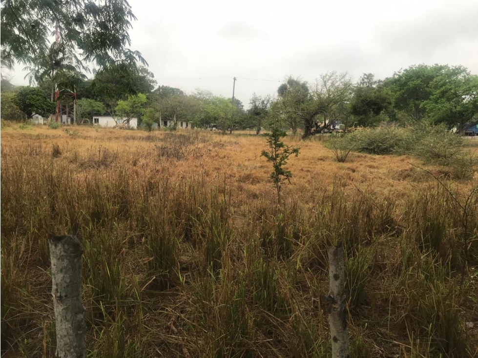 TERRENO EN VENTA KM 100 SOBRE BRECHA - 2