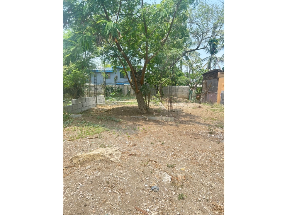 TERRENO EN VENTA COL. REVOLUCION VERDE - 2