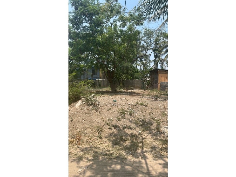 TERRENO EN VENTA COL. REVOLUCION VERDE - 3
