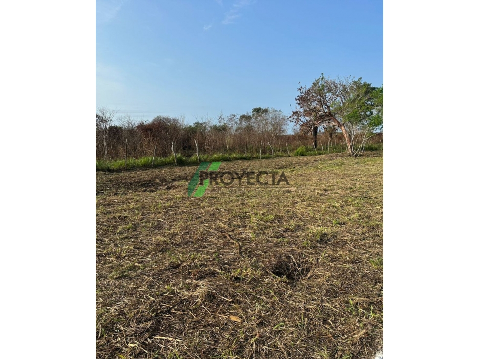 LOTES EN VENTA - TAMPICO ALTO - 3