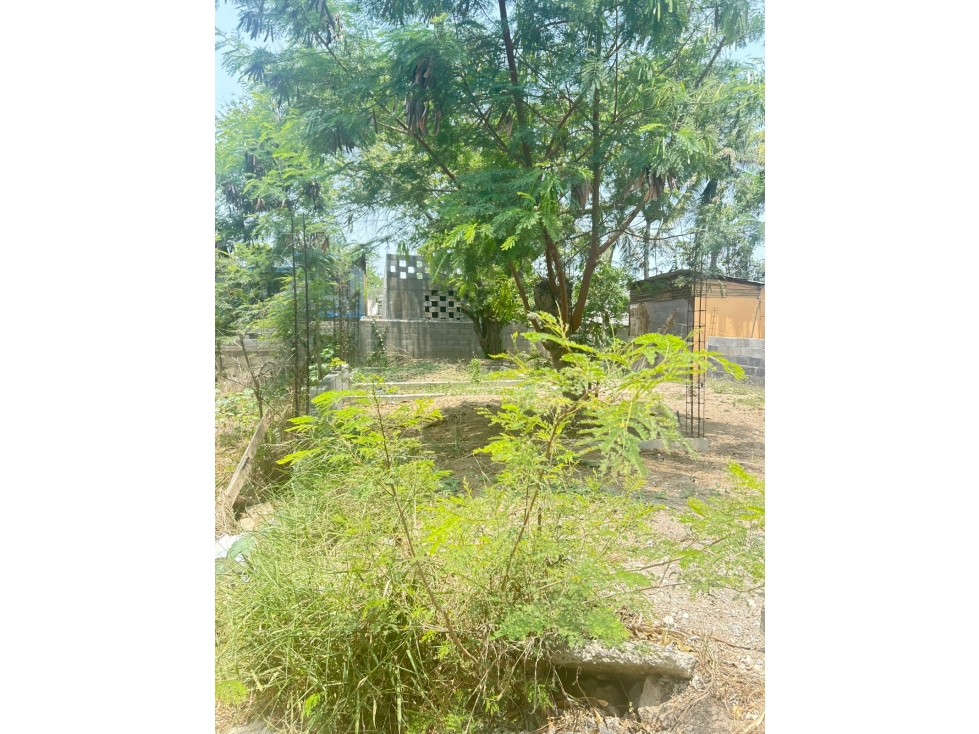 TERRENO EN VENTA COL. REVOLUCION VERDE - 4