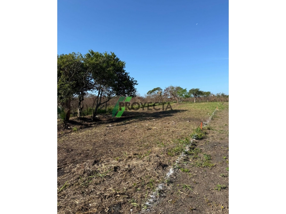 LOTES EN VENTA - TAMPICO ALTO - 4