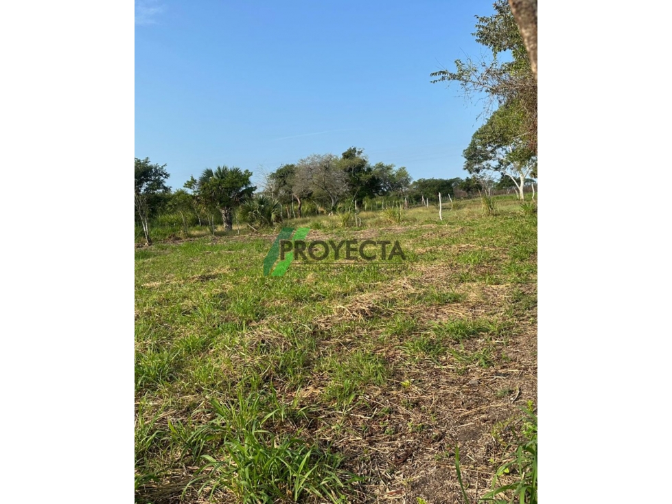 LOTES EN VENTA - TAMPICO ALTO - 5