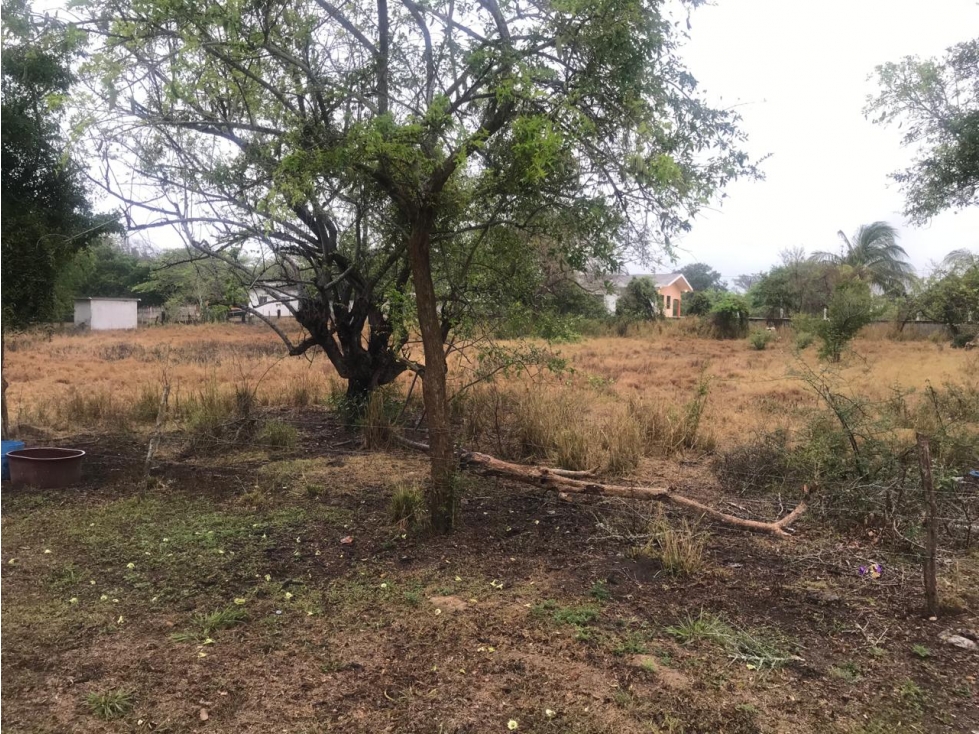 TERRENO EN VENTA KM 100 SOBRE BRECHA - 6