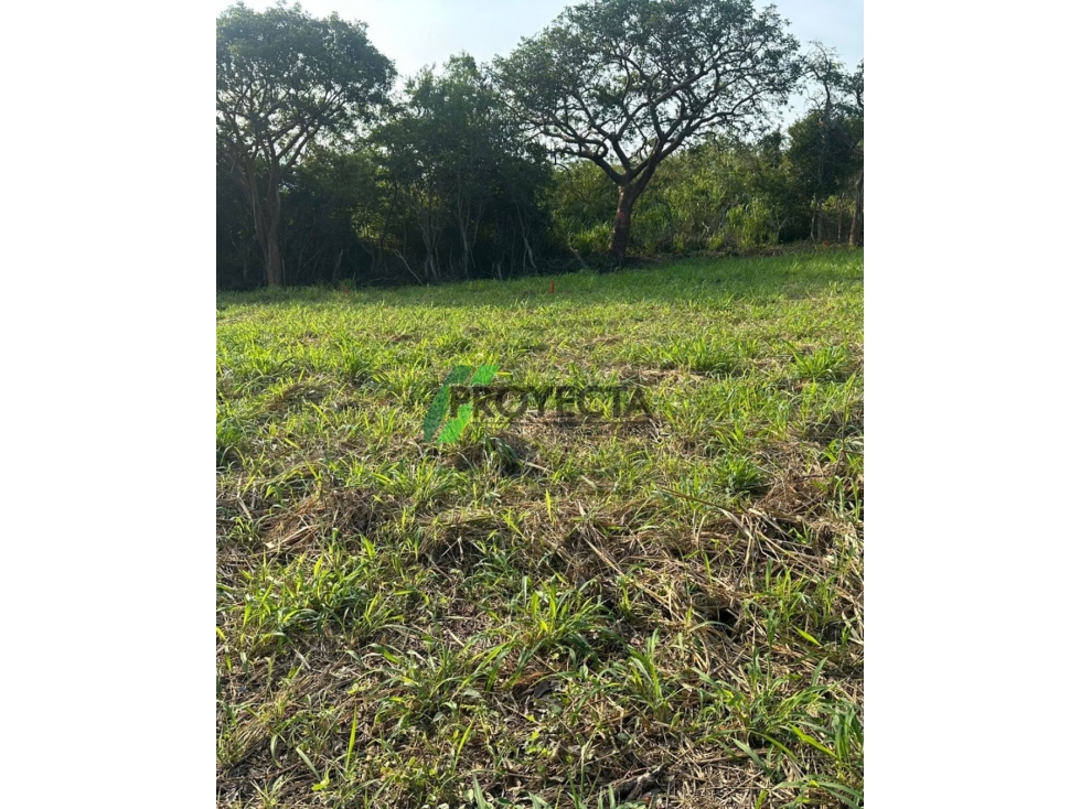 LOTES EN VENTA - TAMPICO ALTO - 6