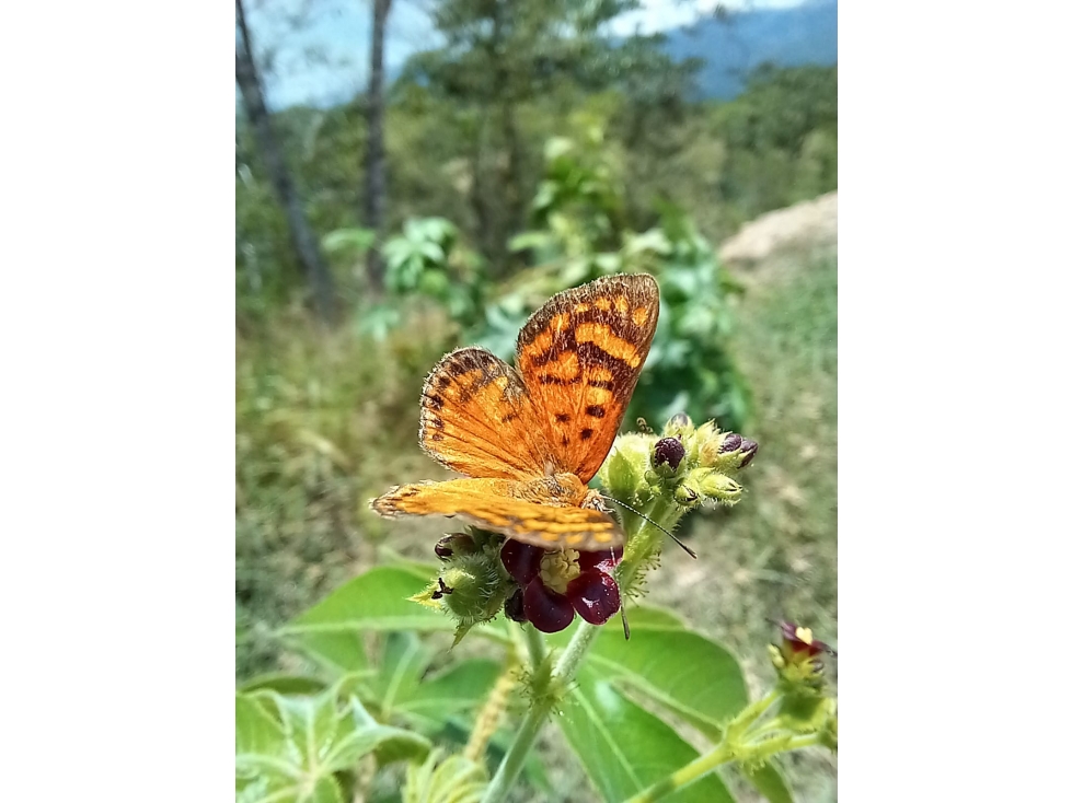 La Provincia Aldea campestre — foto 3