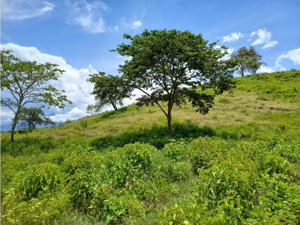 La Provincia Aldea campestre — foto 5