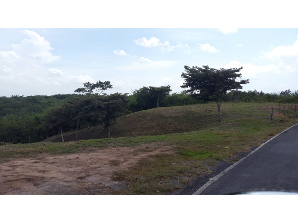 VENTA TERRENO SAN CARLOS - 5
