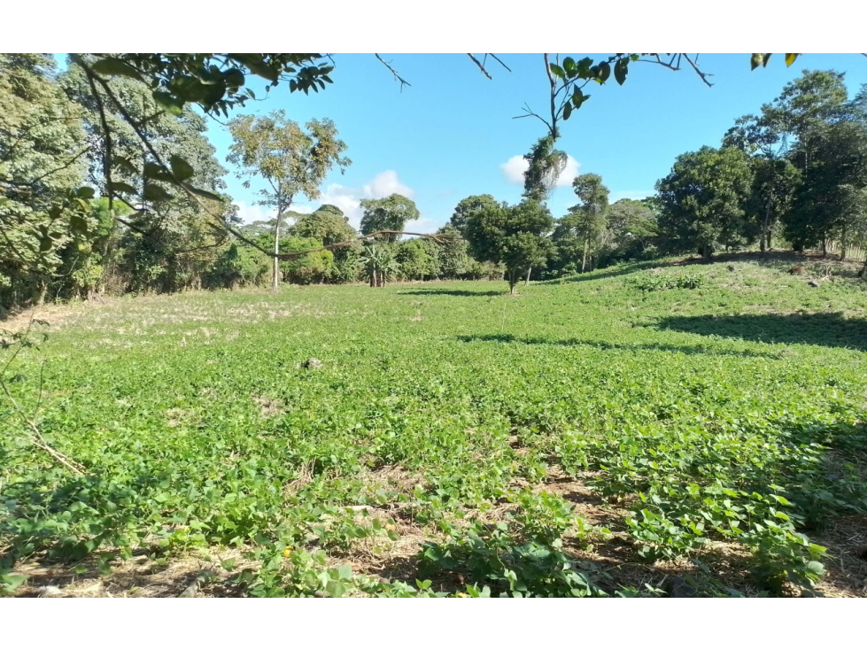 VENTA FINCA CHIRIQUI - 1