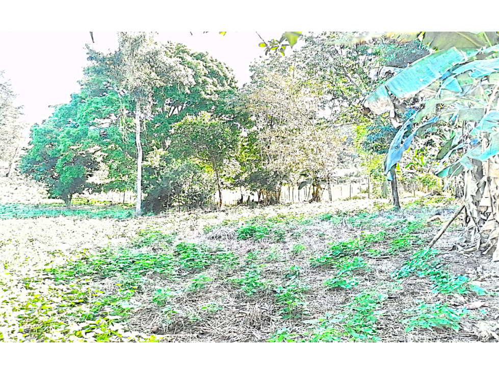 VENTA FINCA CHIRIQUI - 2