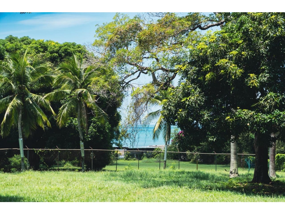 VENTA TERRENO PLAYA GORGONA - 4