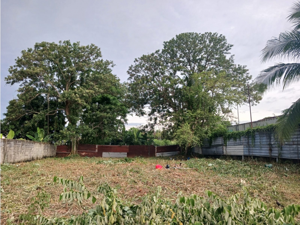VENTA TERRENO PLAZA VERSALLES — foto 3