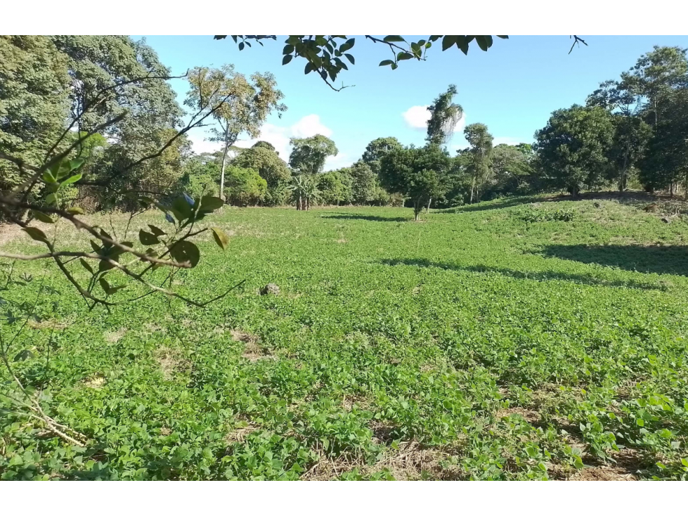VENTA FINCA CHIRIQUI - 3
