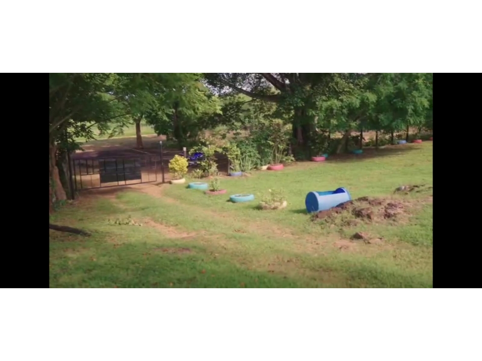 VENTA FINCA AGUADULCE - 4