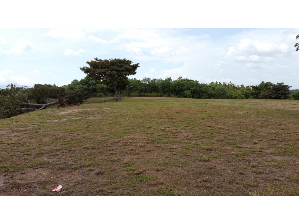 VENTA TERRENO SAN CARLOS - 2