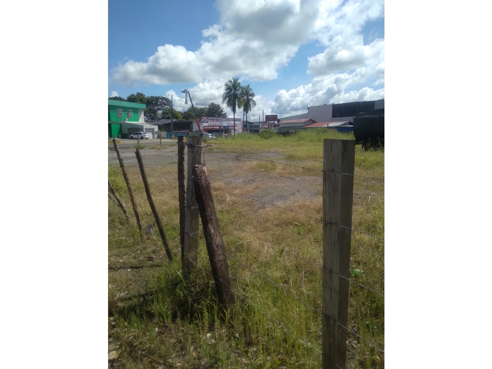 VENTA TERRENO DAVID CHIRIQUI - 4
