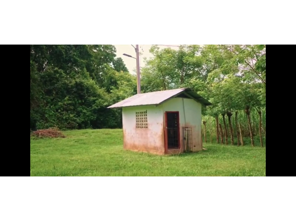 VENTA FINCA AGUADULCE - 5