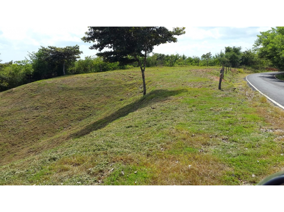 VENTA TERRENO SAN CARLOS - 4