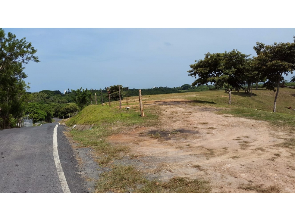 VENTA TERRENO SAN CARLOS - 1
