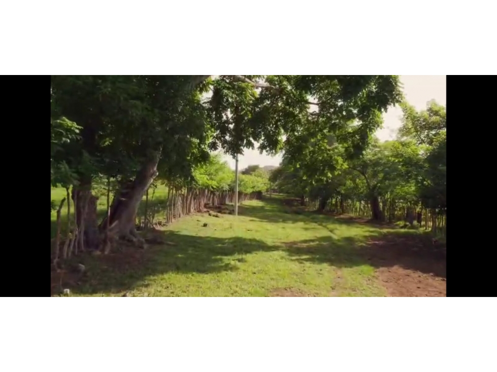 VENTA FINCA AGUADULCE - 6