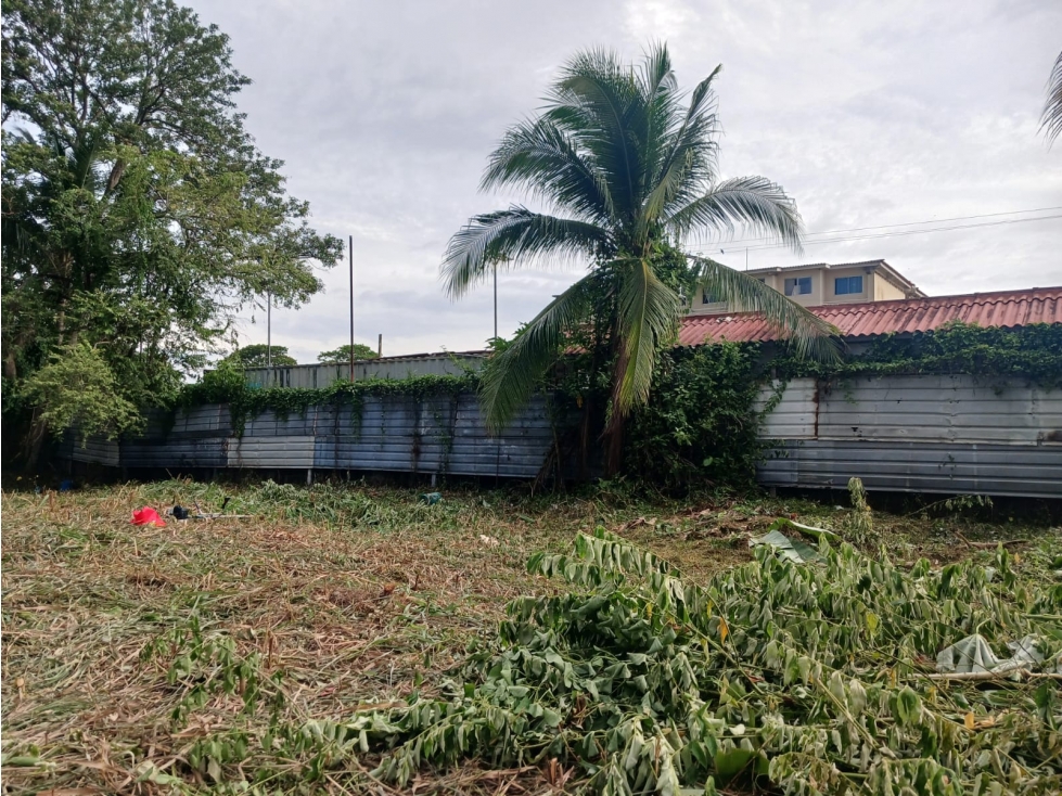 VENTA TERRENO PLAZA VERSALLES — foto 6