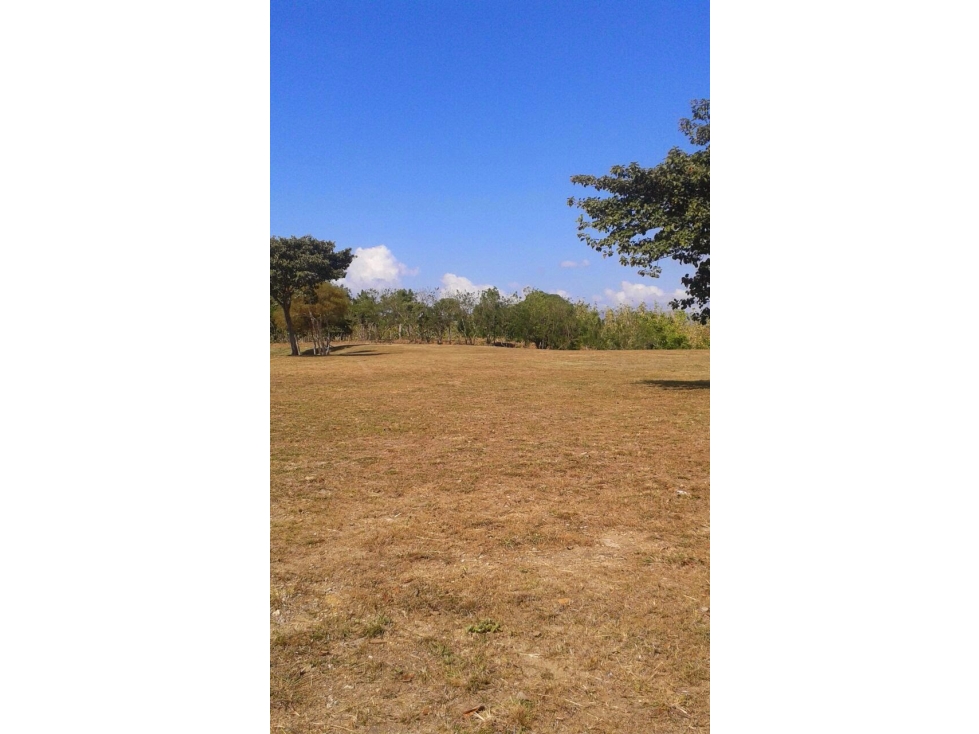 VENTA TERRENO SAN CARLOS - 3