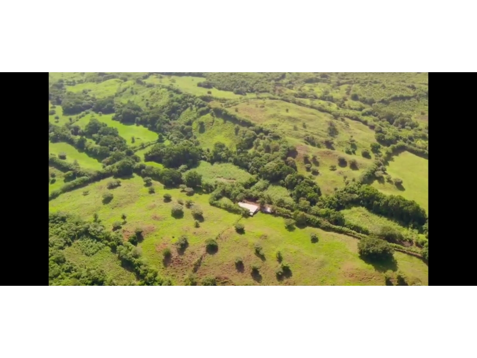 VENTA FINCA AGUADULCE - 1