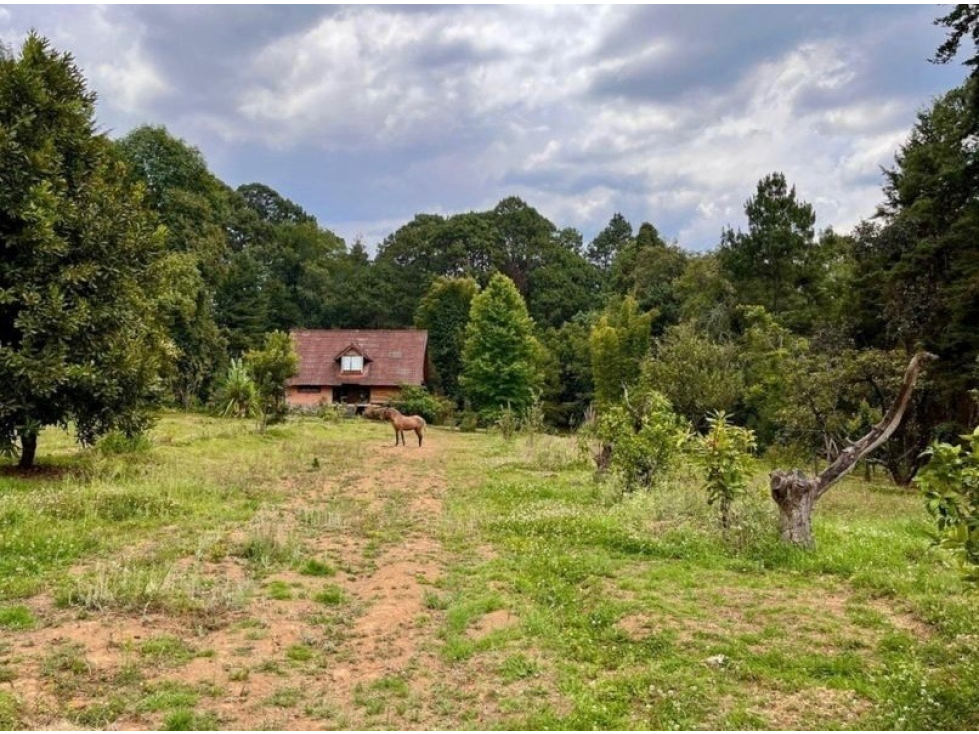 TERRENO EN VENTA | 5,000 M2 | MESA DE JAIMES | VALLE DE BRAVO - 1