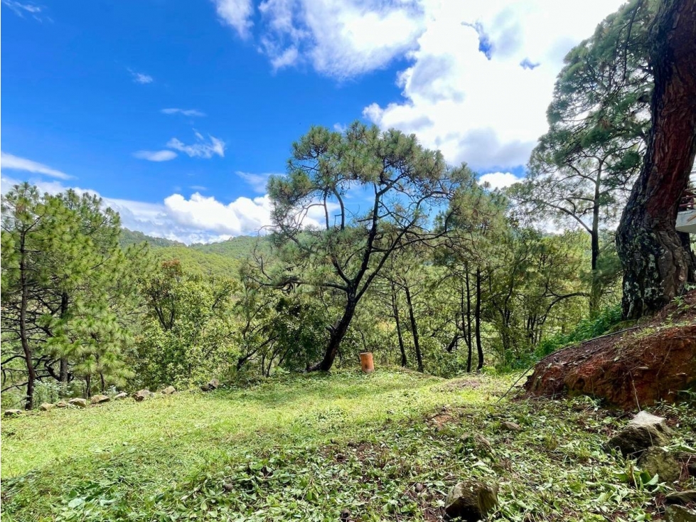 TERRENO EN VENTA VALLE DE BRAVO I EL CEREZO