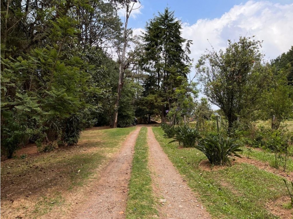 TERRENO EN VENTA | 2,500 m2 | VALLE DE BRAVO | MESA DE JAIMES — foto 3